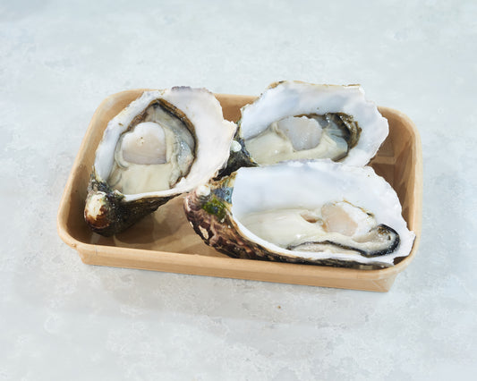 Natural Pacific Oysters / Each