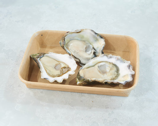 Natural Sydney Rock Oysters / Each