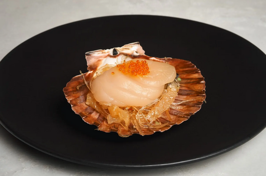 Half Shell Scallop with Jellyfish